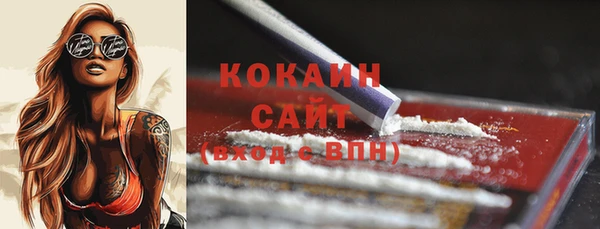 индика Магас